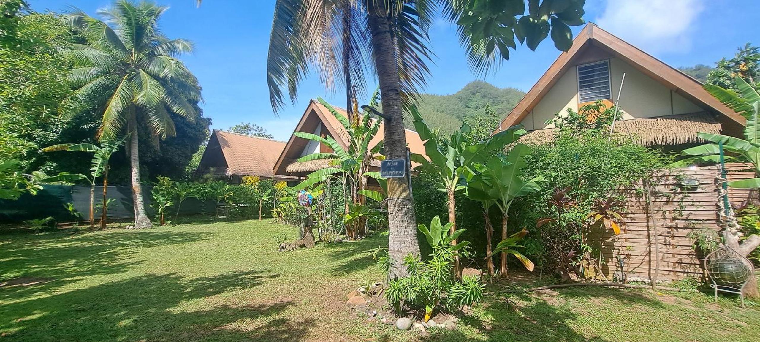 MOOREA - Studio Corail