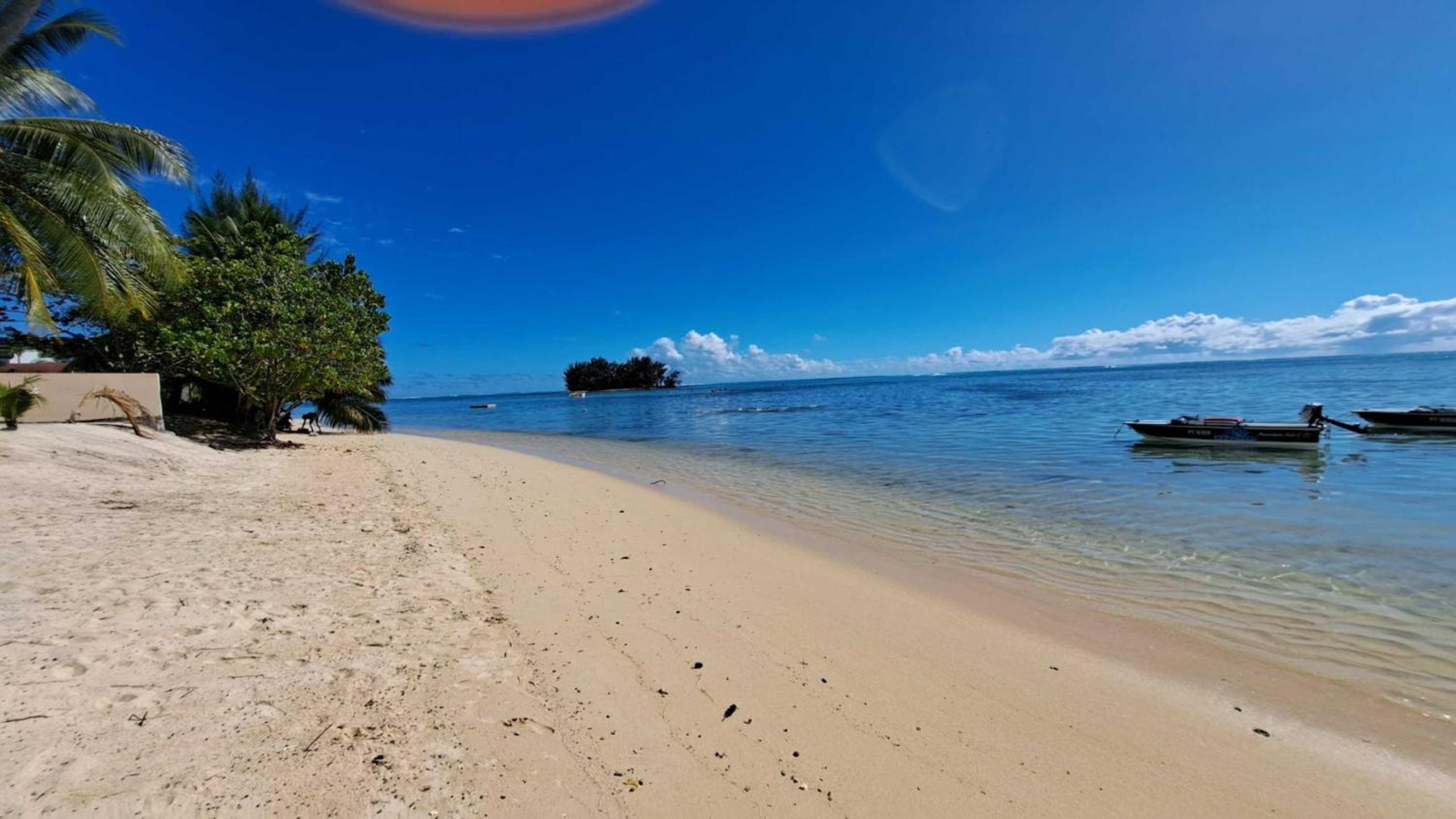 MOOREA - Studio Corail