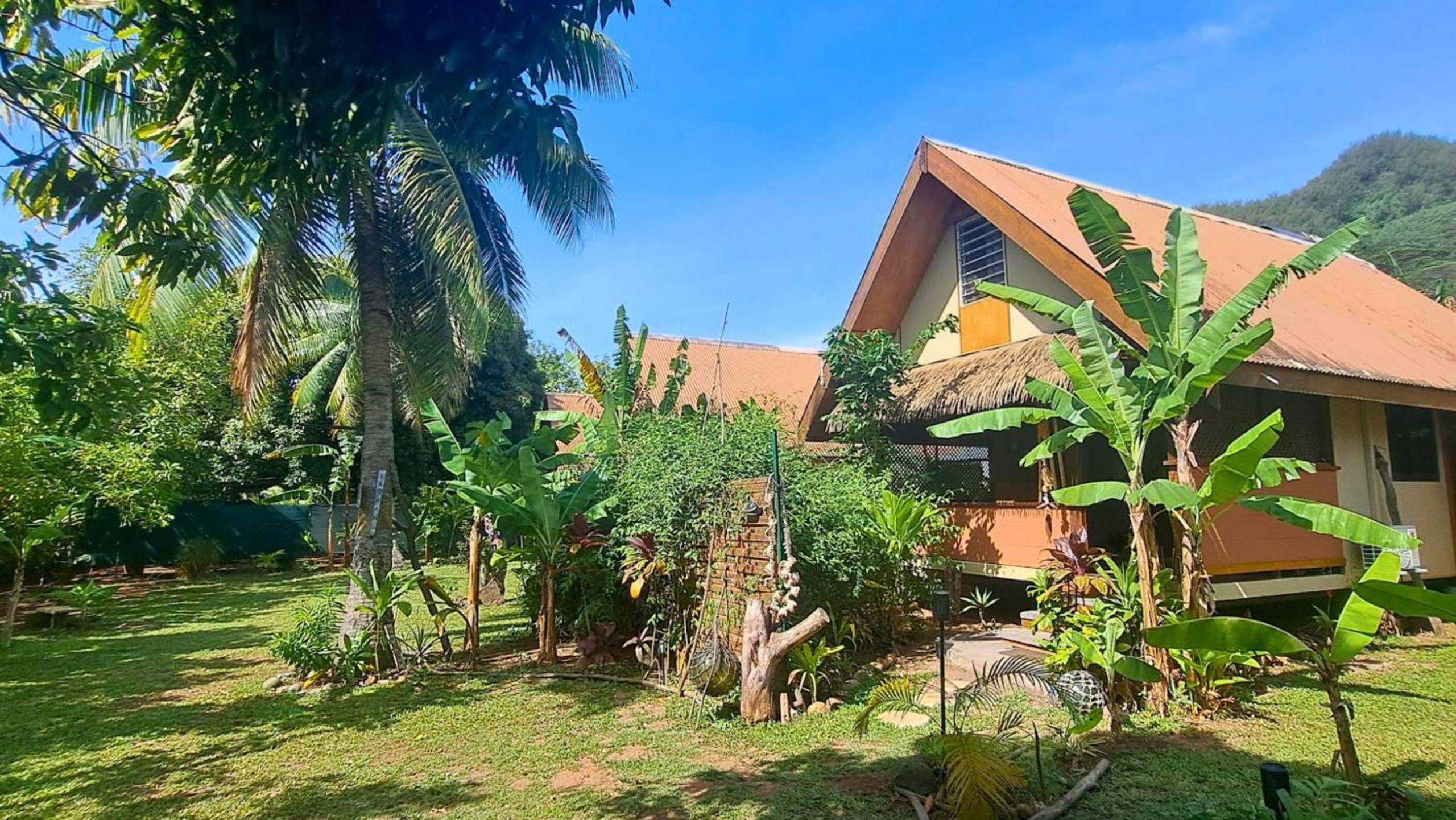 MOOREA - Studio Corail