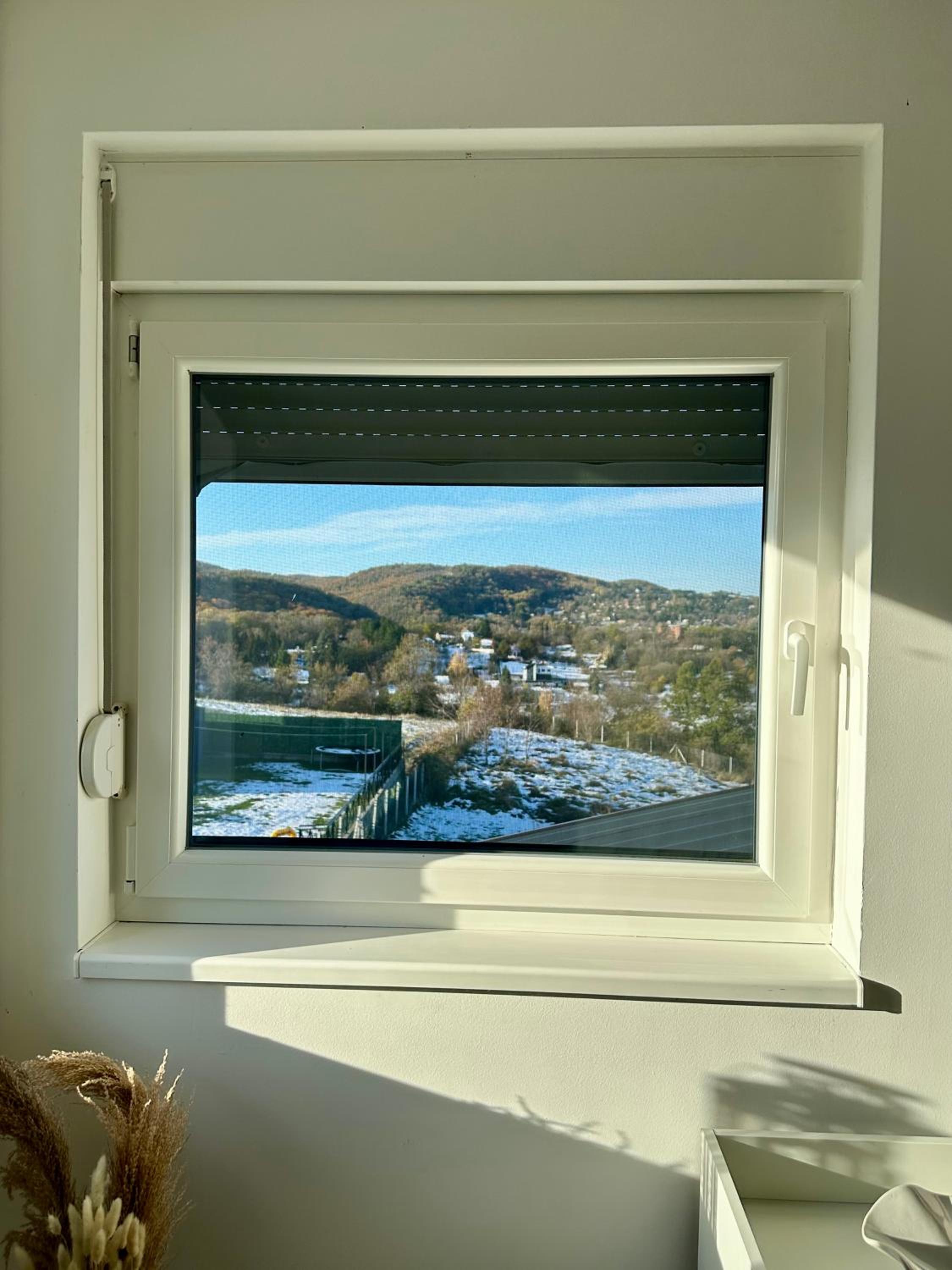 Canvas Point view 4