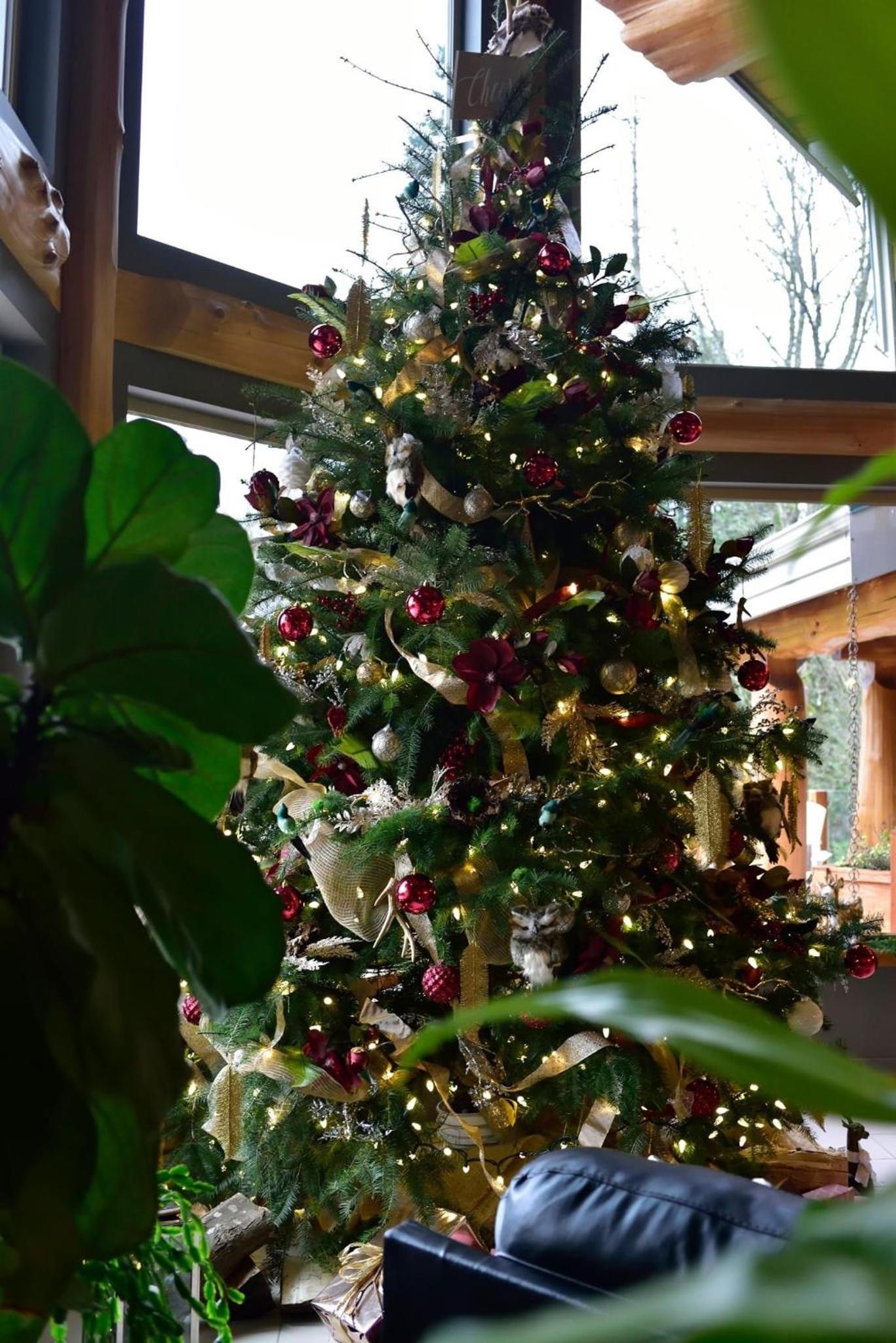 The Rockwell-Harrison Guest Lodge