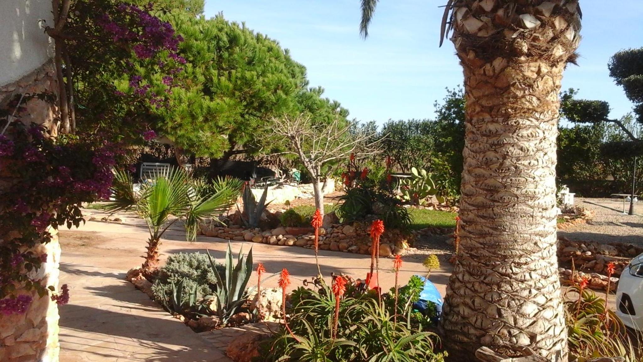 Photo 18