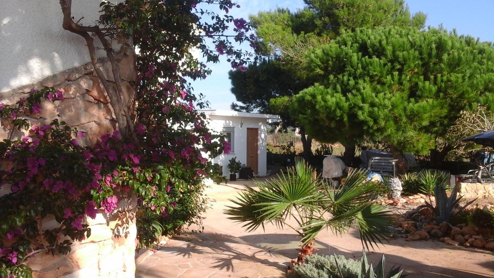 Photo 25