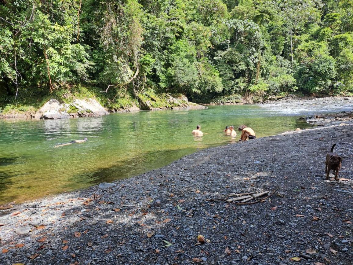 Refugio Natural Jacaranda CON PLAYA PRIVADA