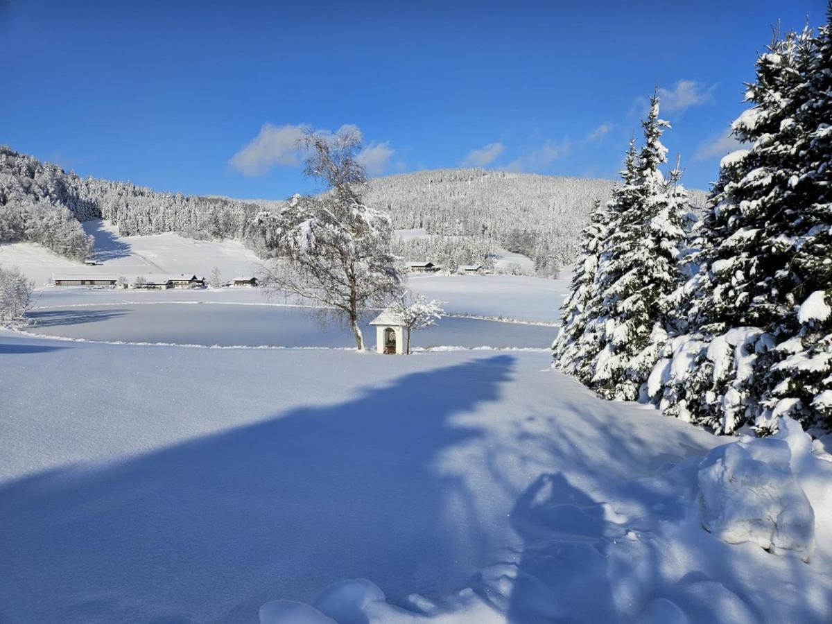 Ferienhaus Froschsee inkl. Chiemgaukarte