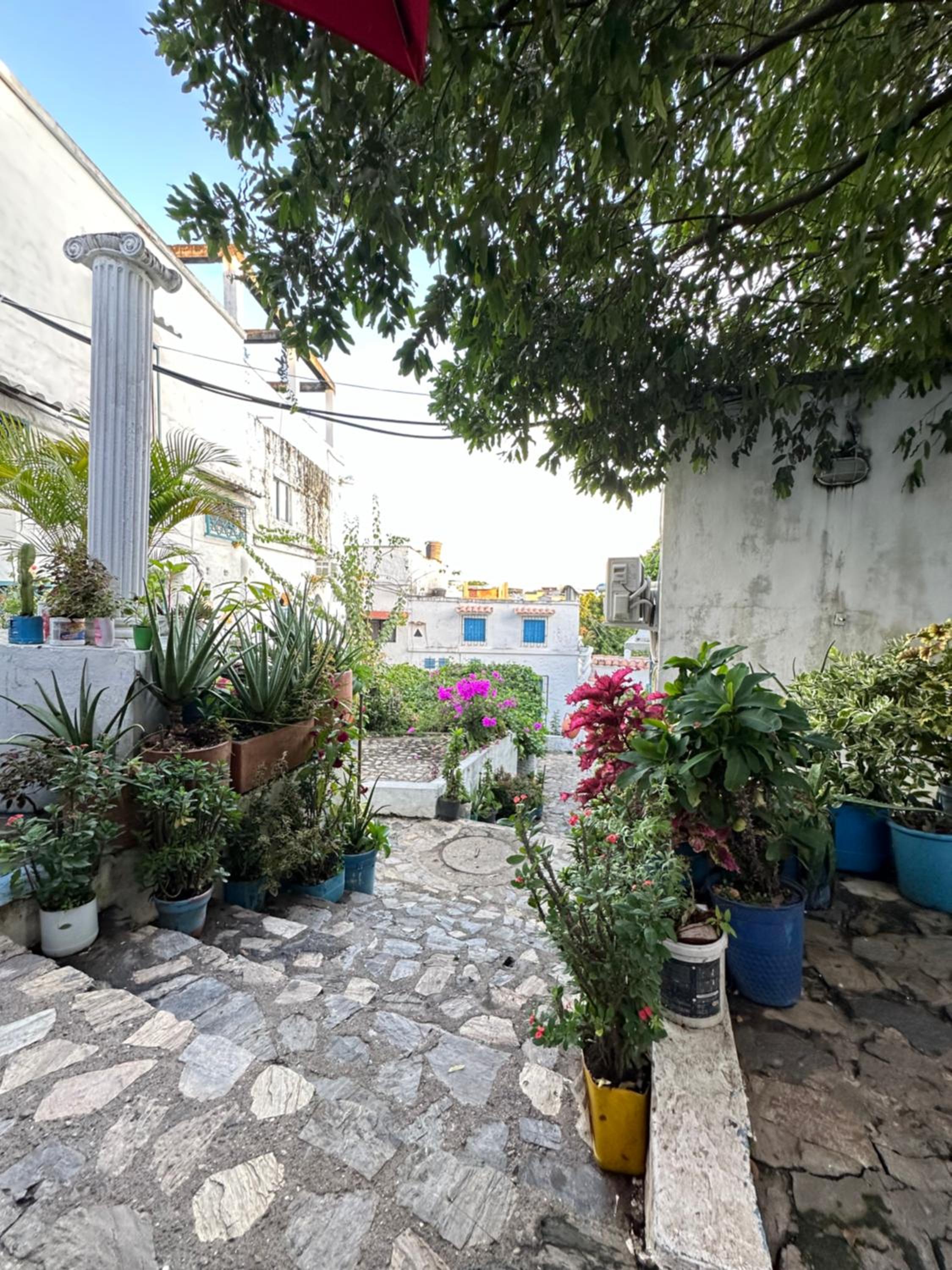 Casa Serena - Santorini Colombiano