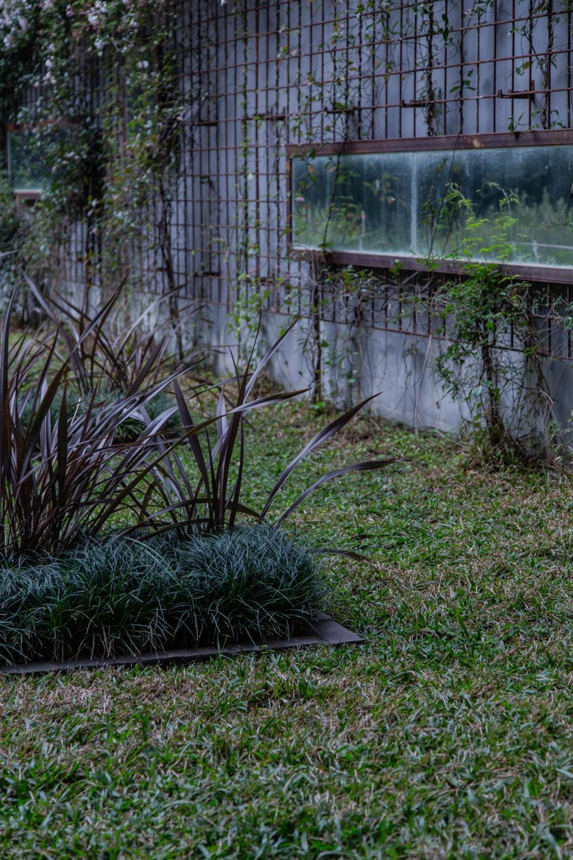 Cattleya Beautiful Apartment