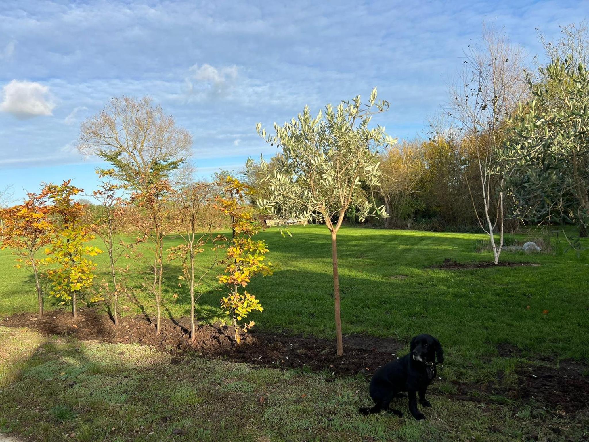 Idyllic secluded hideaway with countryside views on the edge of the Cotswolds view 5