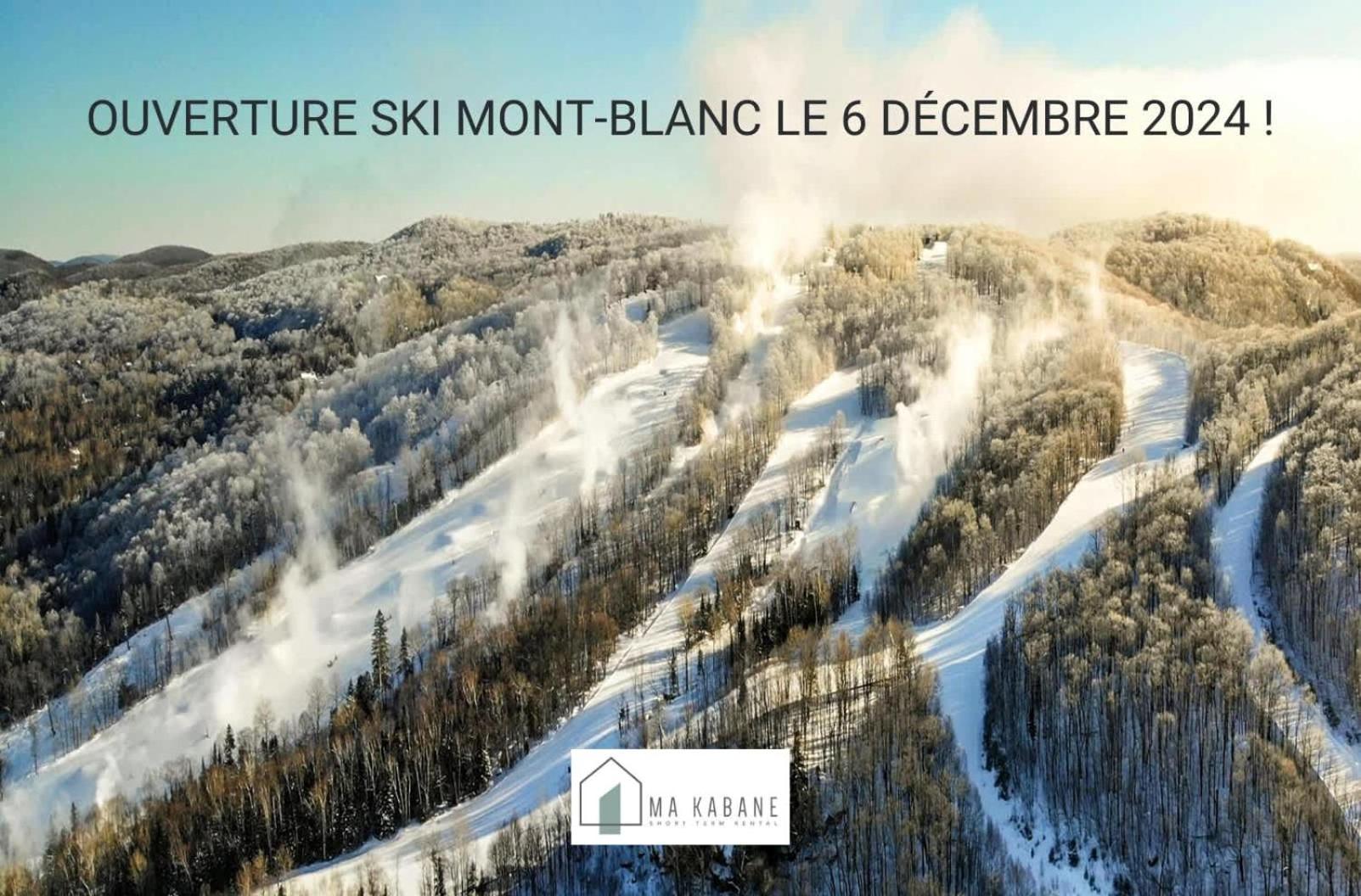 Ski In Out view on Mont-Blanc hills - Le Loup