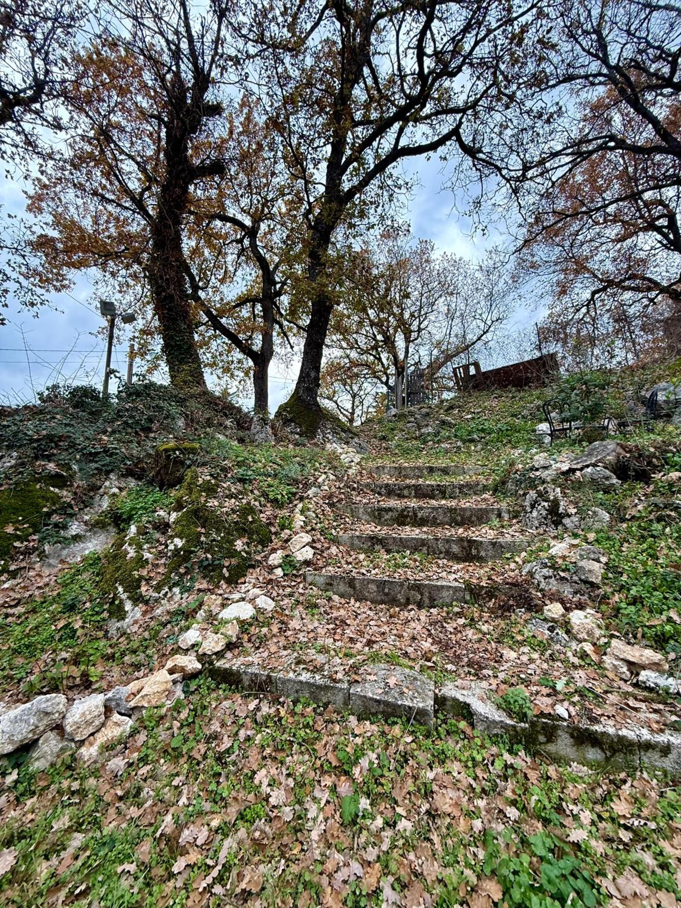 Photo 31