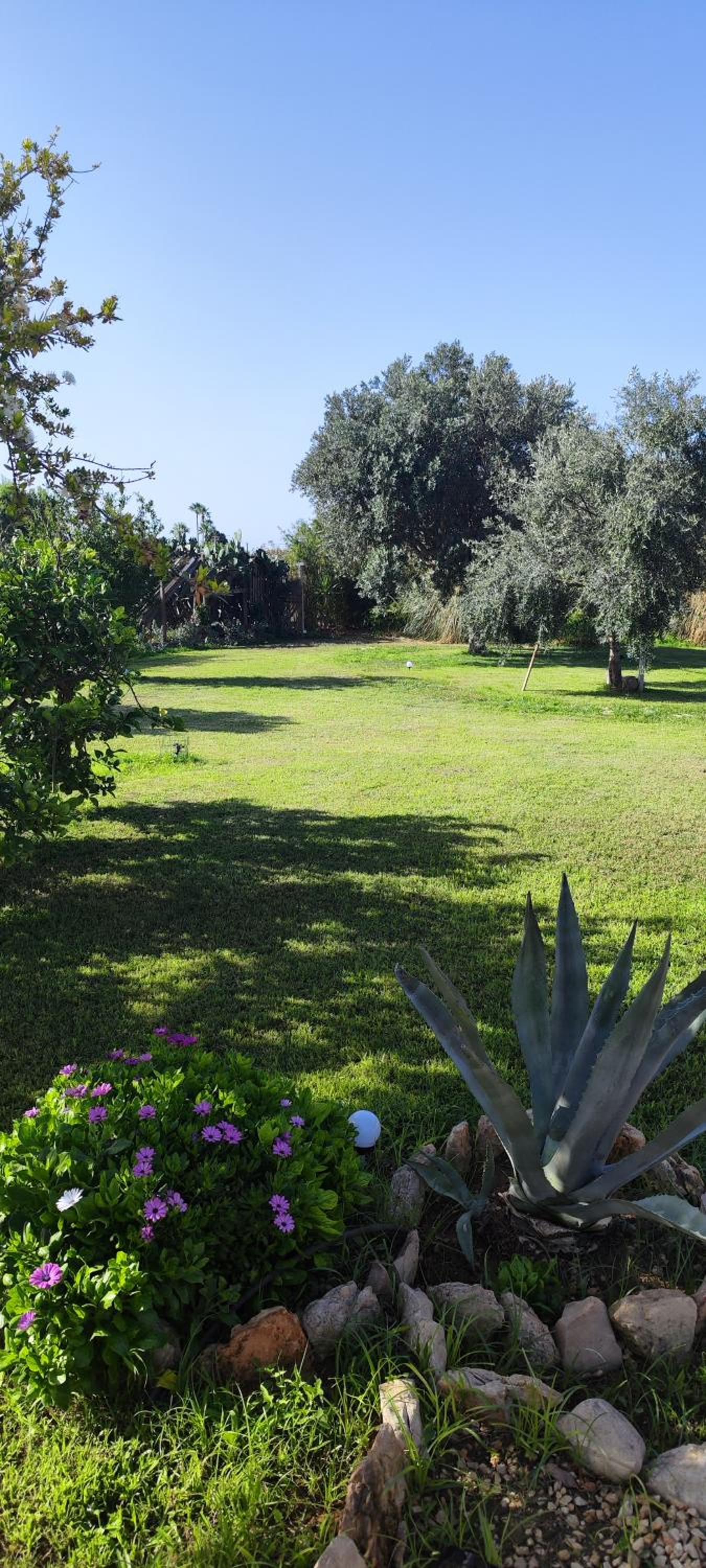 Villa Giummarito B & B