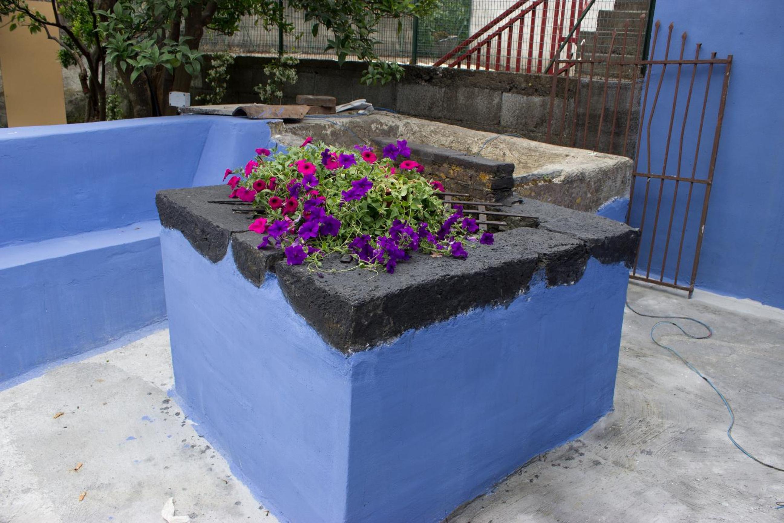 Photo 11