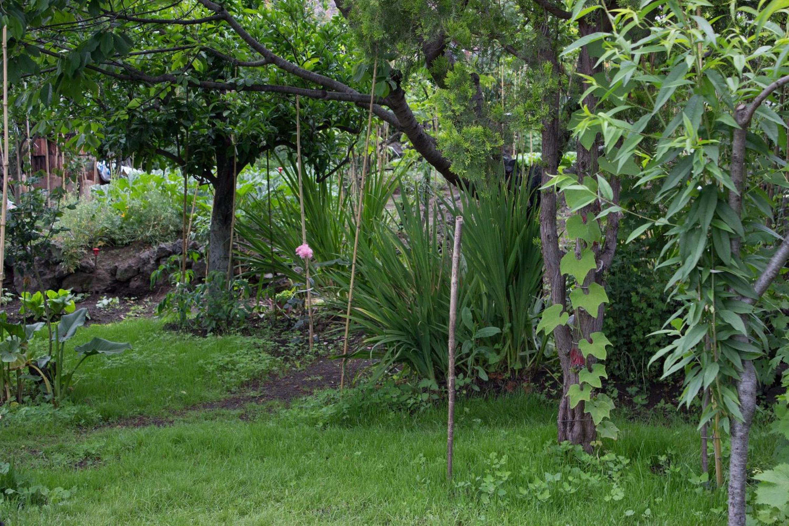 Photo 12