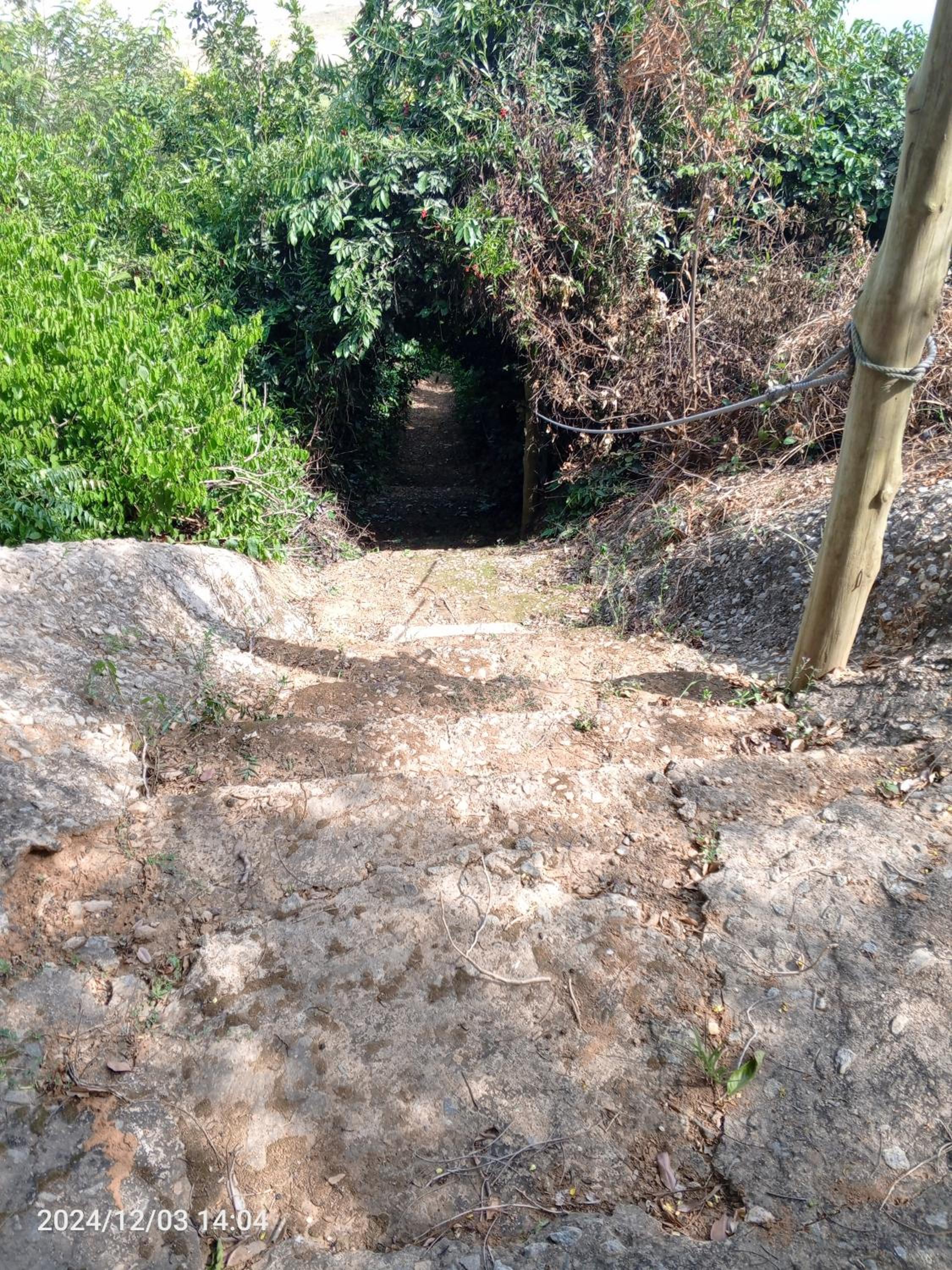 Photo 48