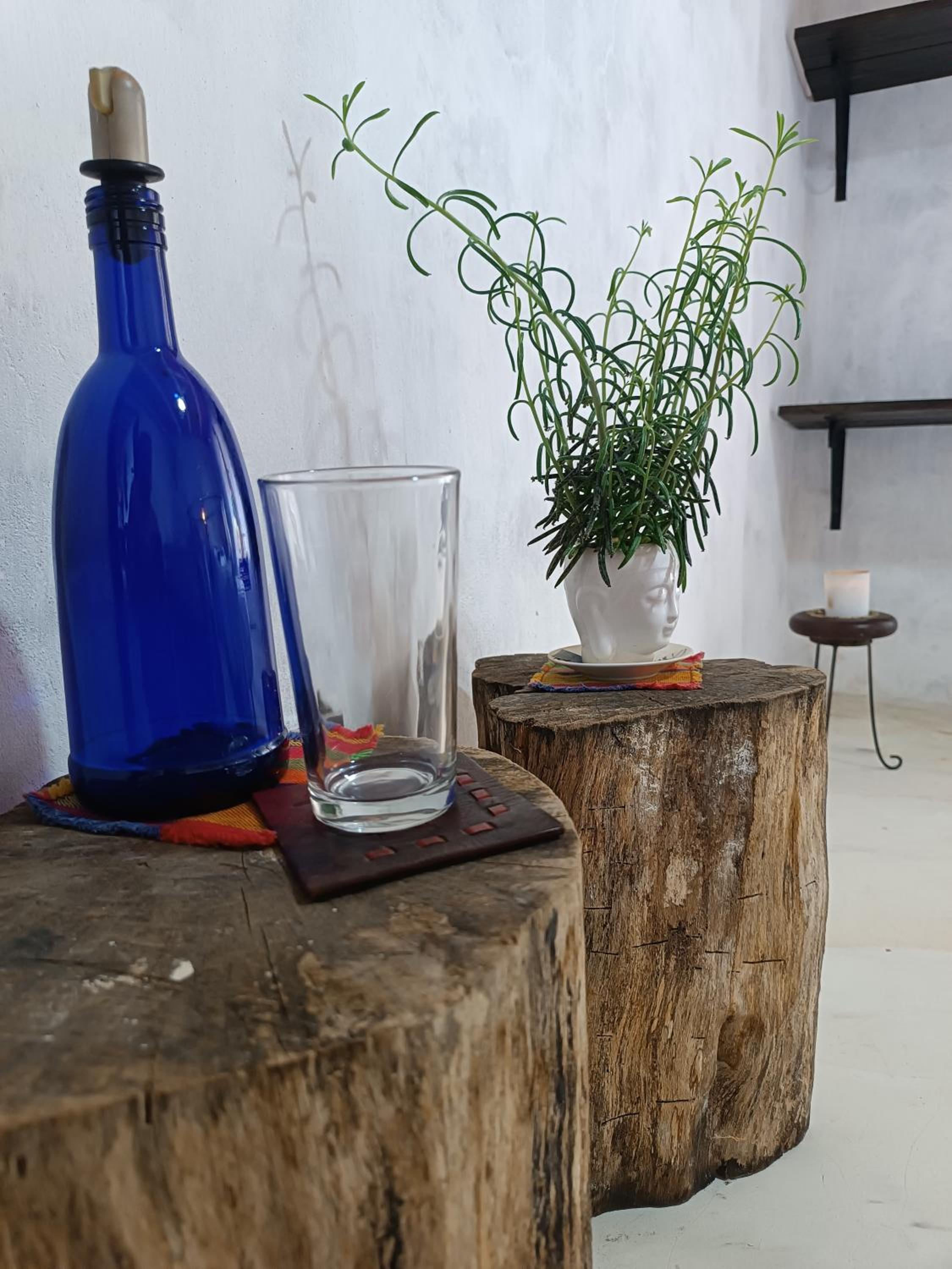 Bosque Místico
