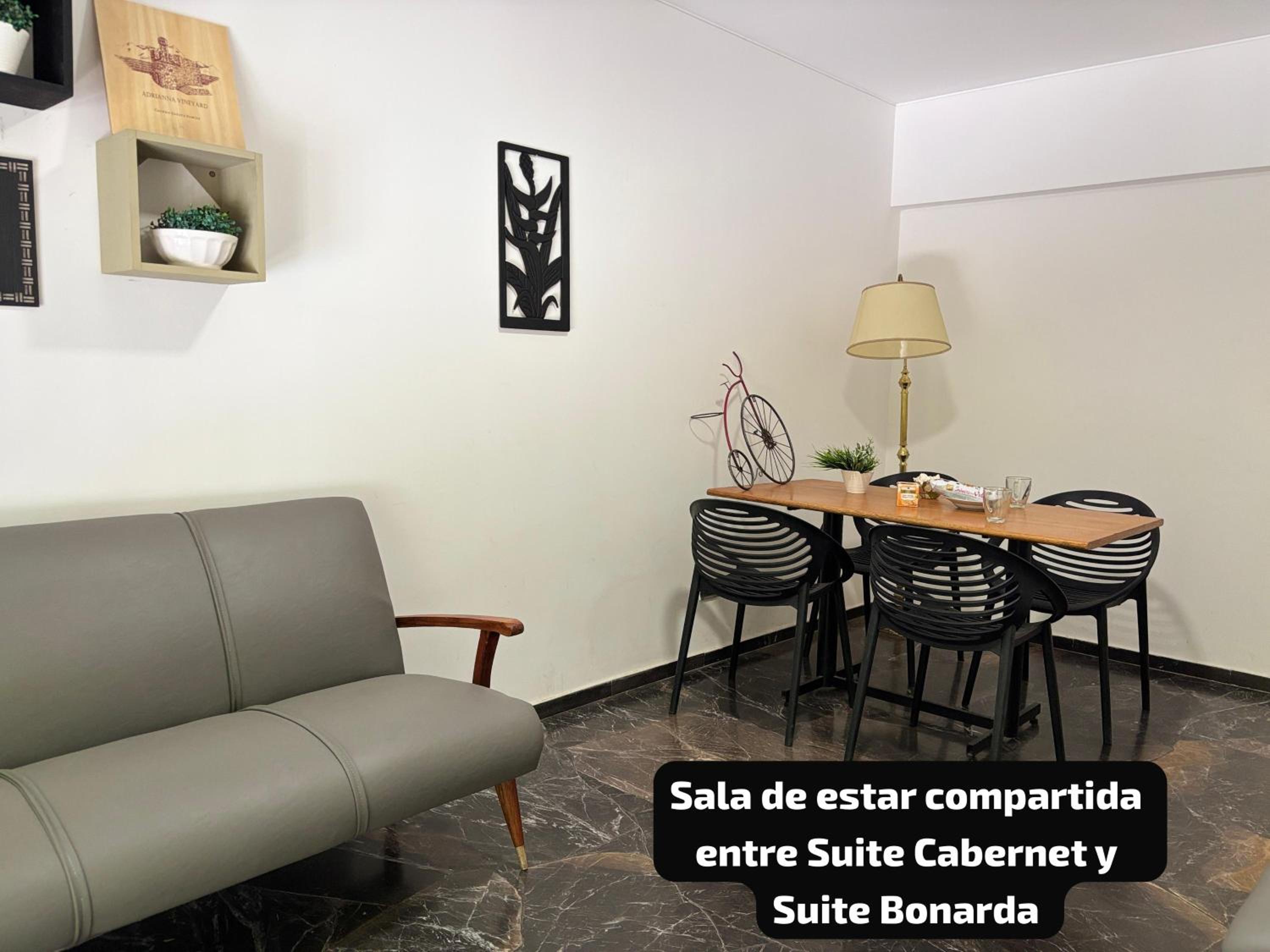 HOLY WINE te ofrece DIFERENTES alternativas DEPARTAMENTO COMPLETO o SUITES Puedes elegir cual se adecua a tu necesidad en su descripción, recorrido fotográ