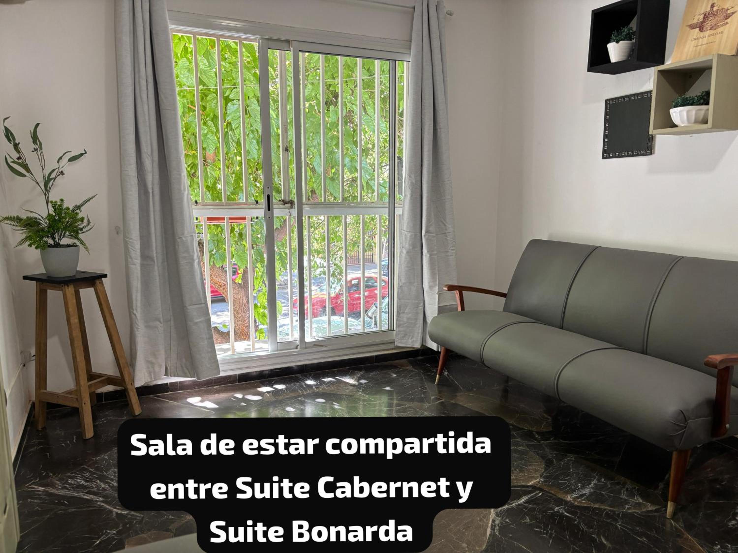 HOLY WINE te ofrece DIFERENTES alternativas DEPARTAMENTO COMPLETO o SUITES Puedes elegir cual se adecua a tu necesidad en su descripción, recorrido fotográ