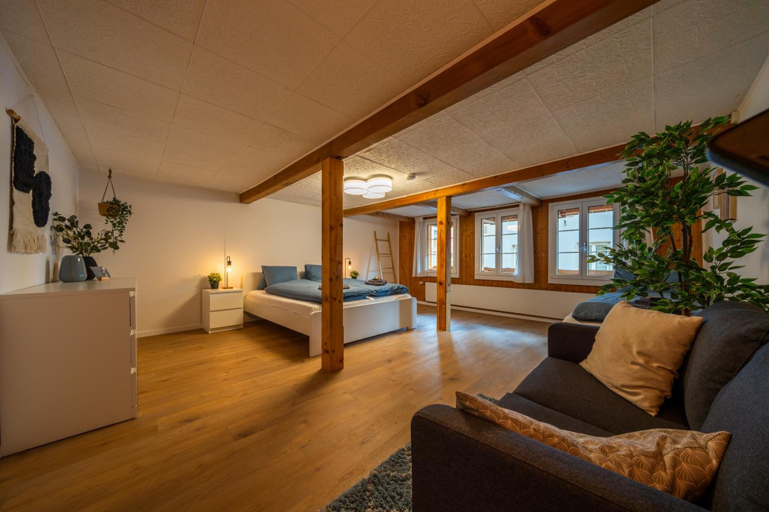 Large apt in town center next to Brunngasse & near lake