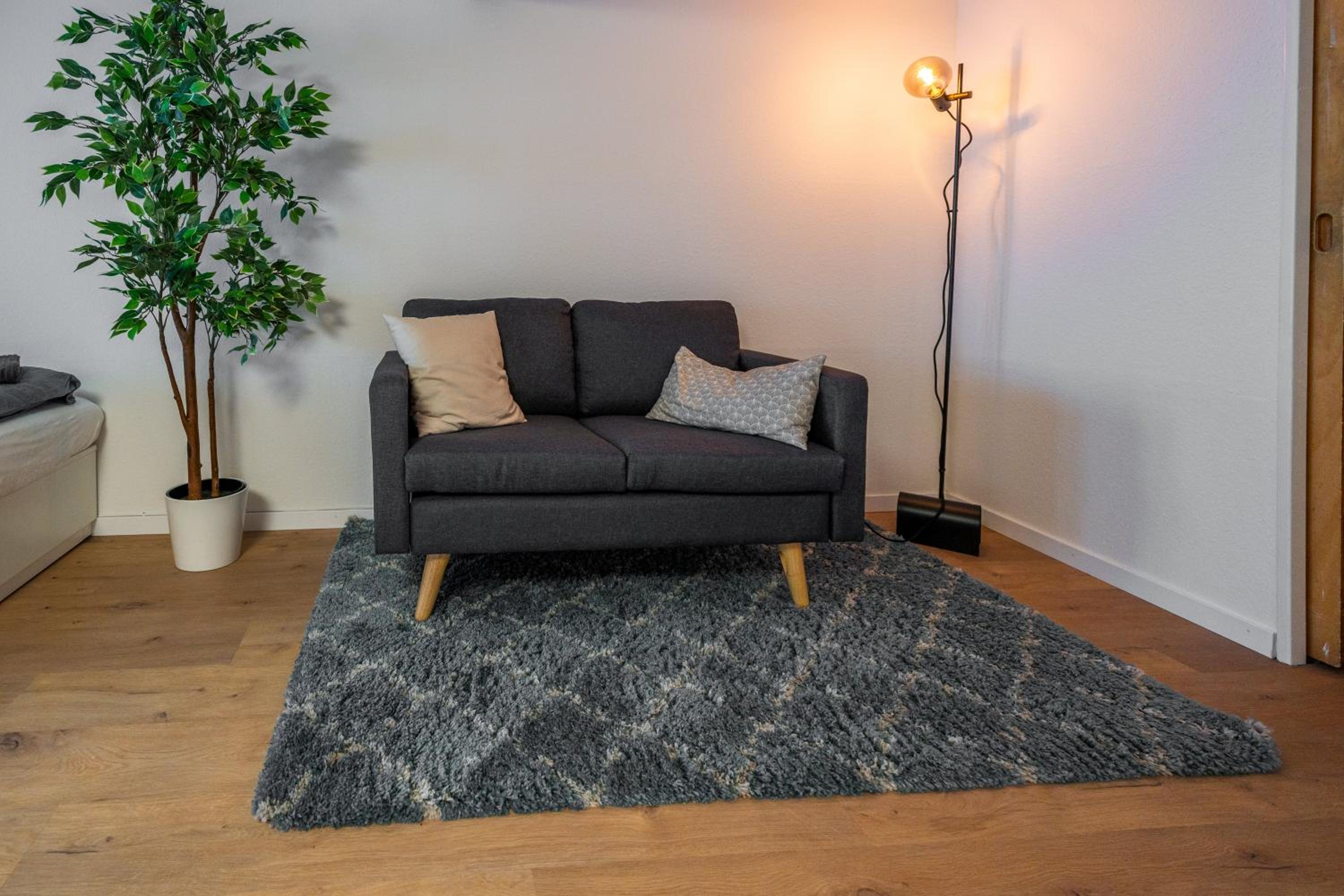 Large apt in town center next to Brunngasse & near lake