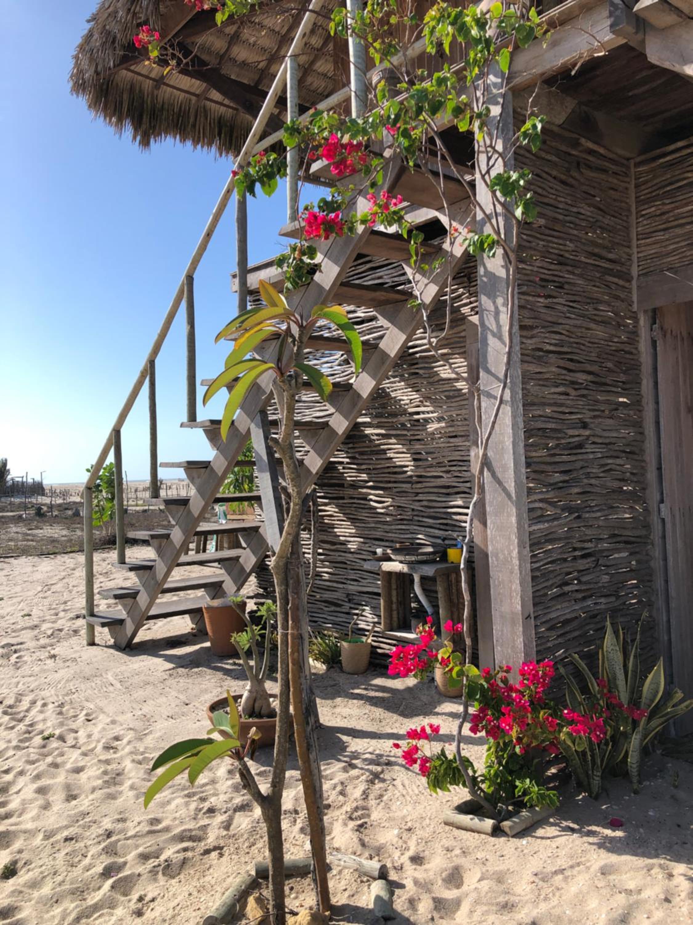 Lar Torus Eco Lodge - Rancho Kite is Surf School