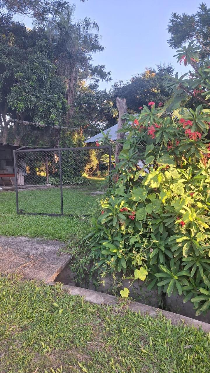 La magnolia del parana