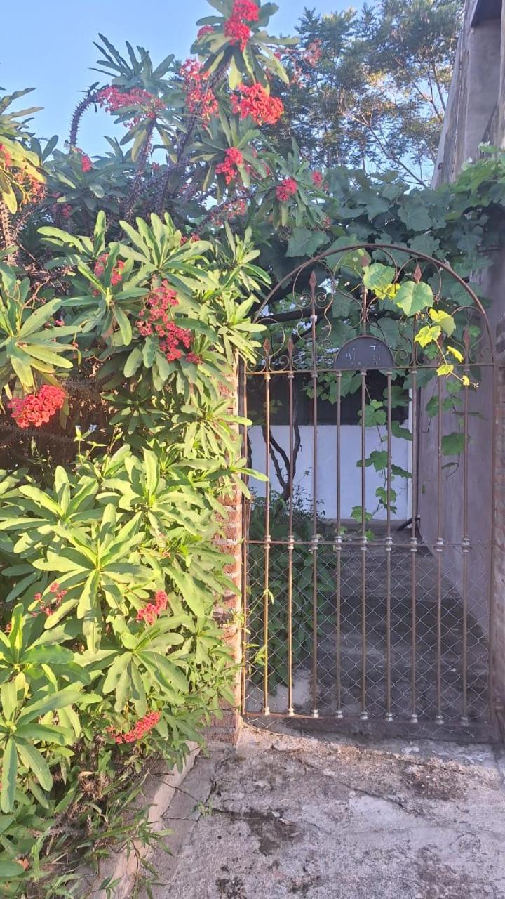 La magnolia del parana