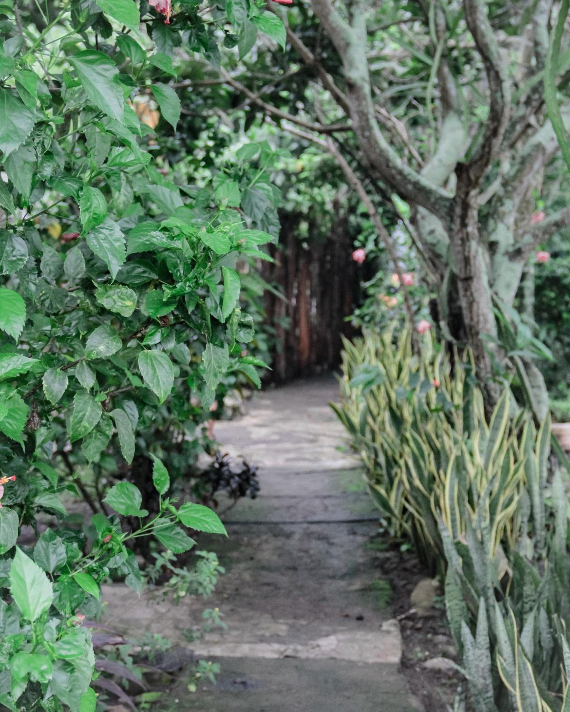 Tiara Homestay view 2