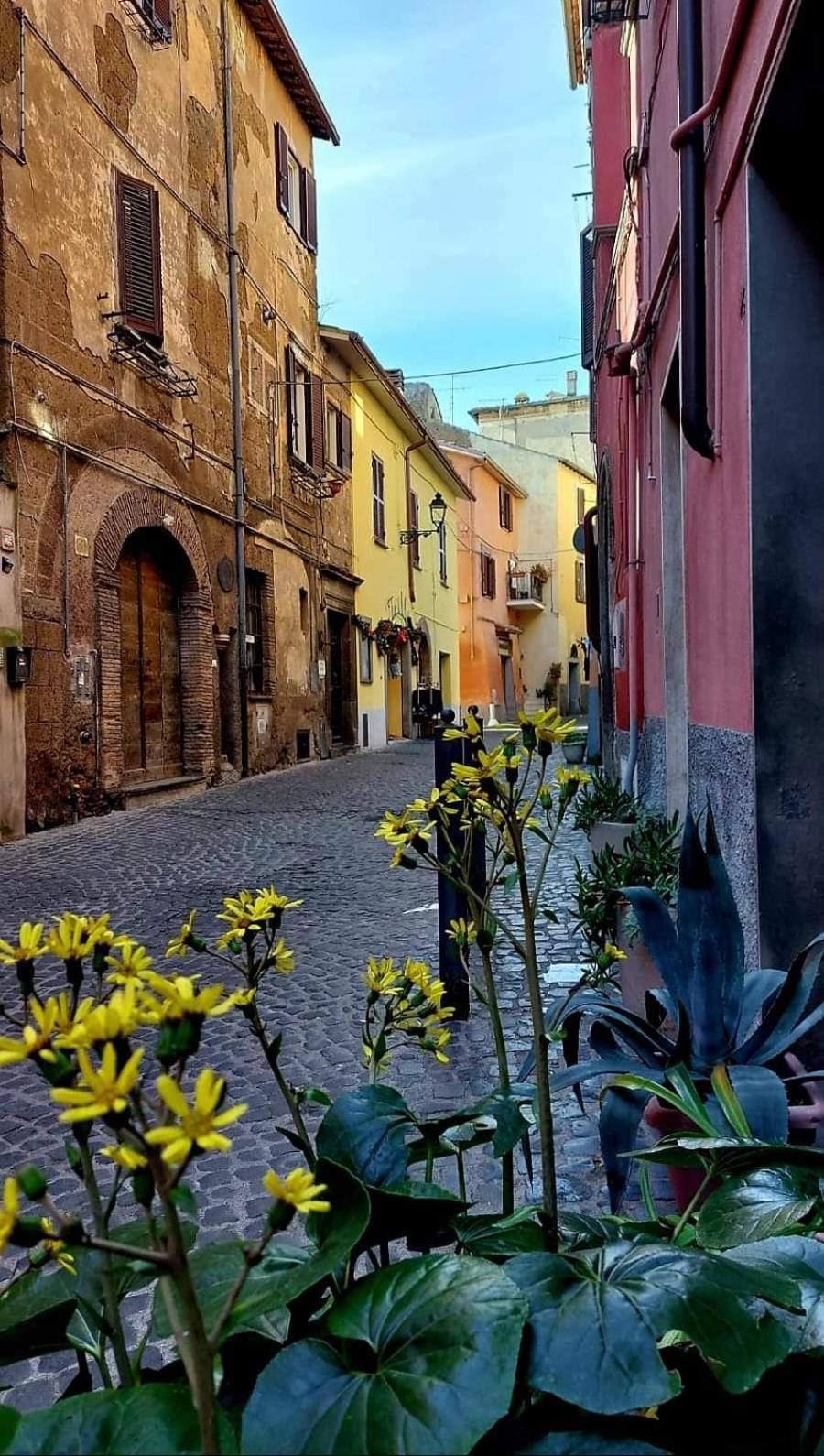 Una pausa dalla città view 4