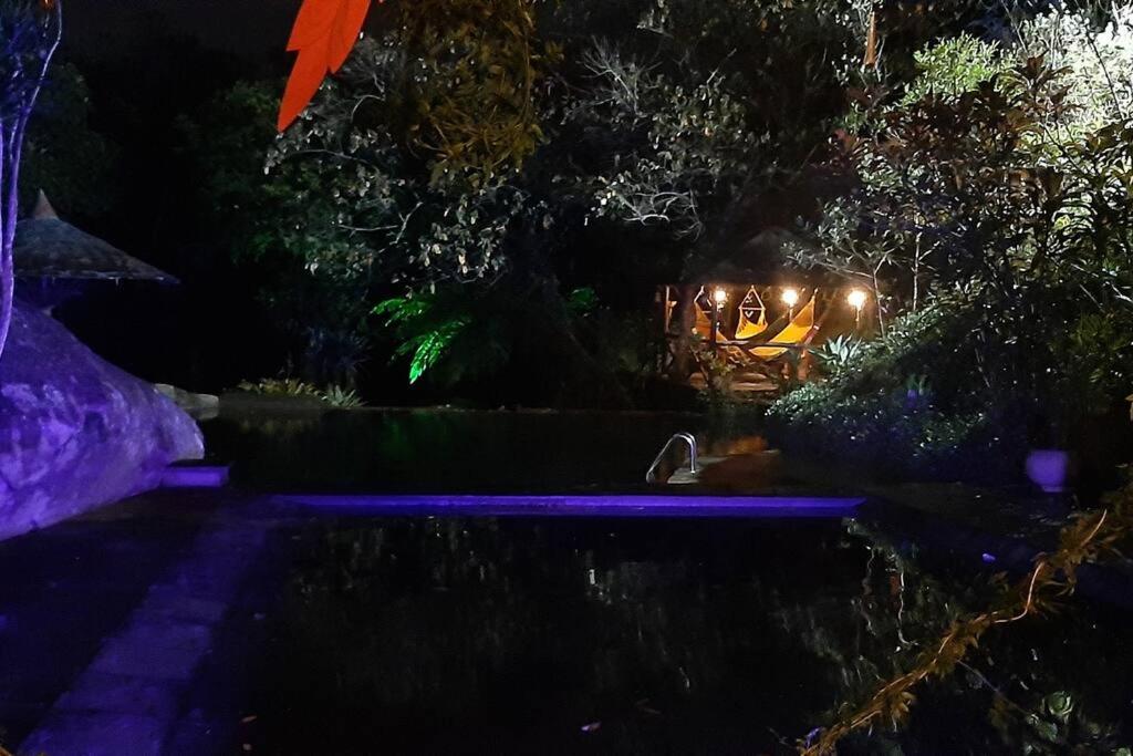 Tico-Tico das Araras, Petrópolis RJ