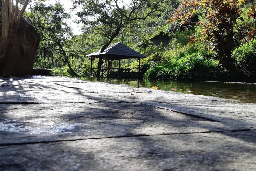 Tico-Tico das Araras, Petrópolis RJ