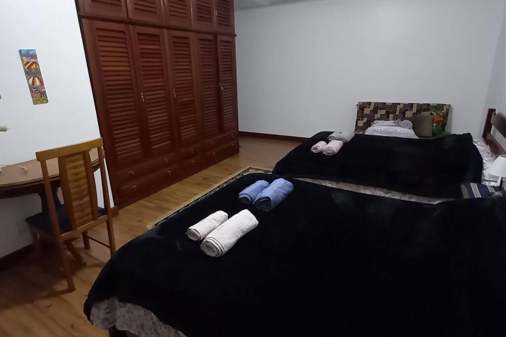 Tico-Tico das Araras, Petrópolis RJ