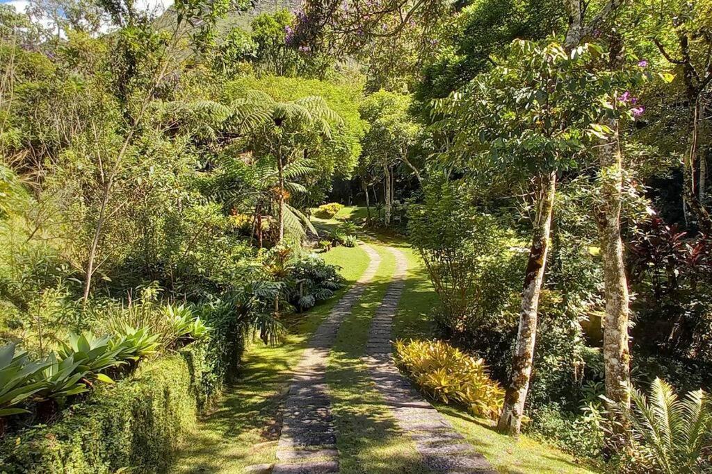 Tico-Tico das Araras, Petrópolis RJ