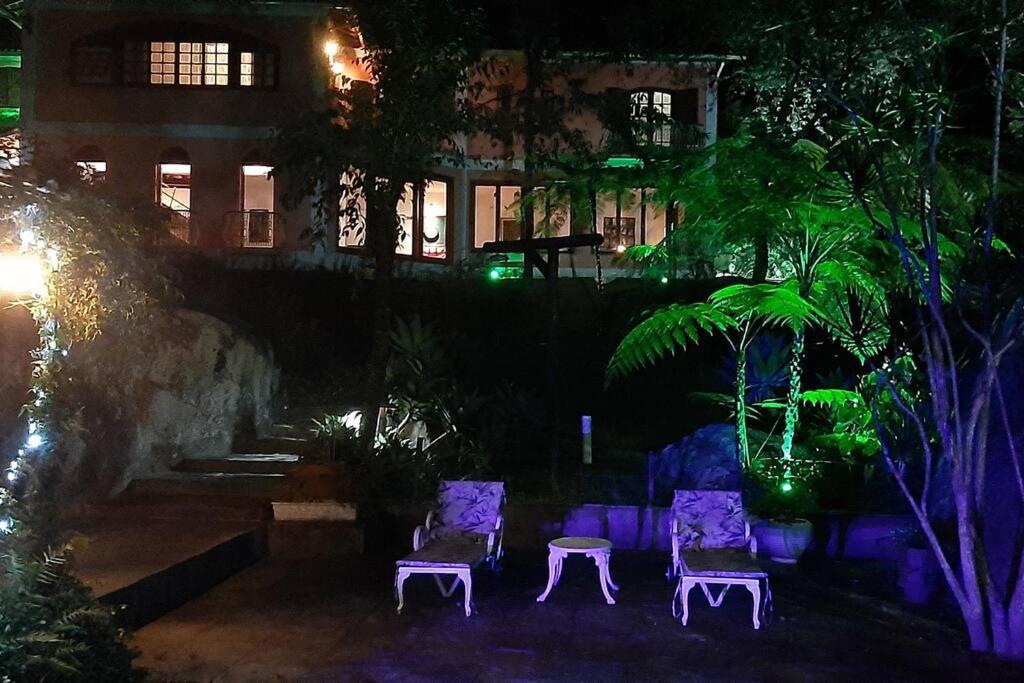 Tico-Tico das Araras, Petrópolis RJ