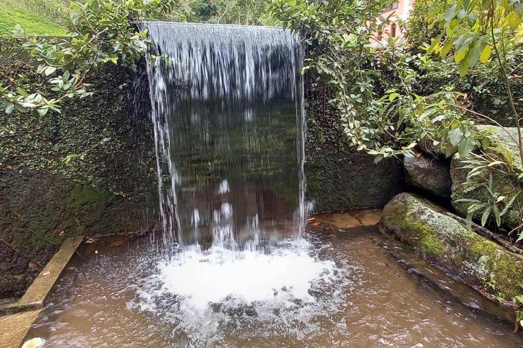Tico-Tico das Araras, Petrópolis RJ