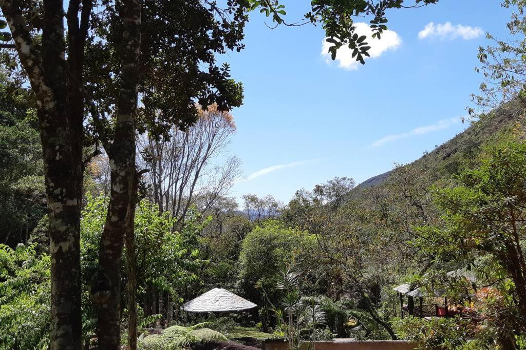 Tico-Tico das Araras, Petrópolis RJ