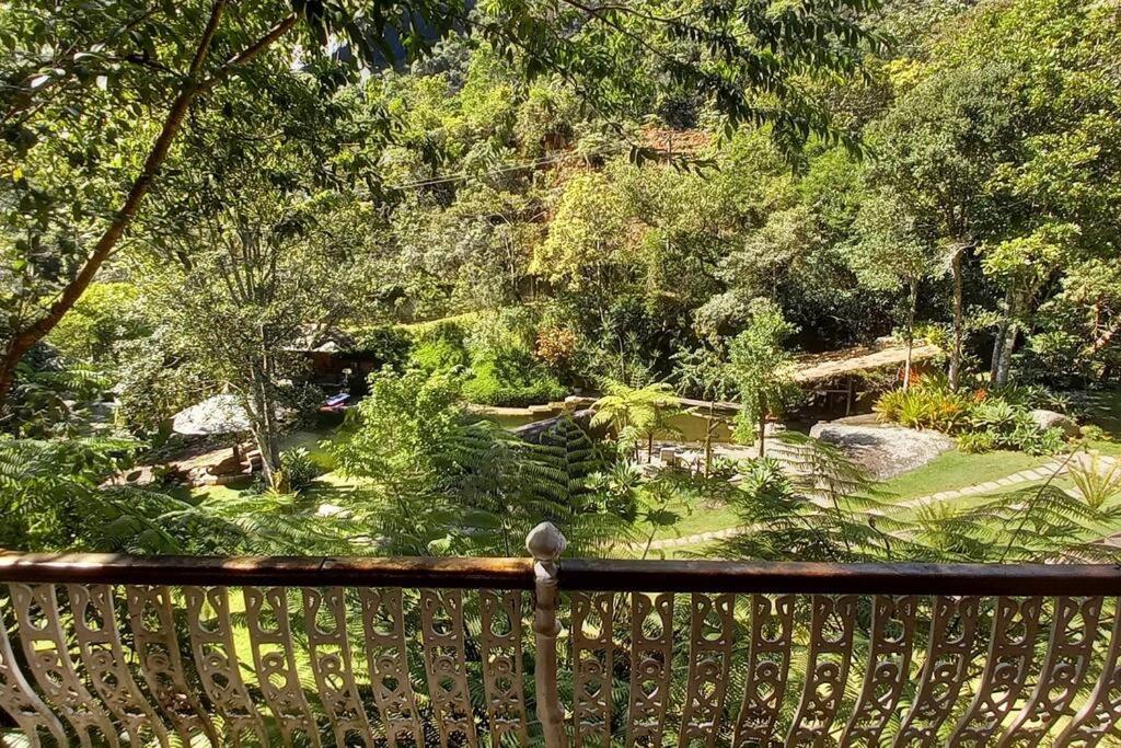Tico-Tico das Araras, Petrópolis RJ