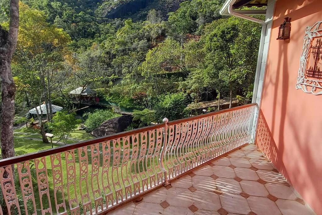 Tico-Tico das Araras, Petrópolis RJ