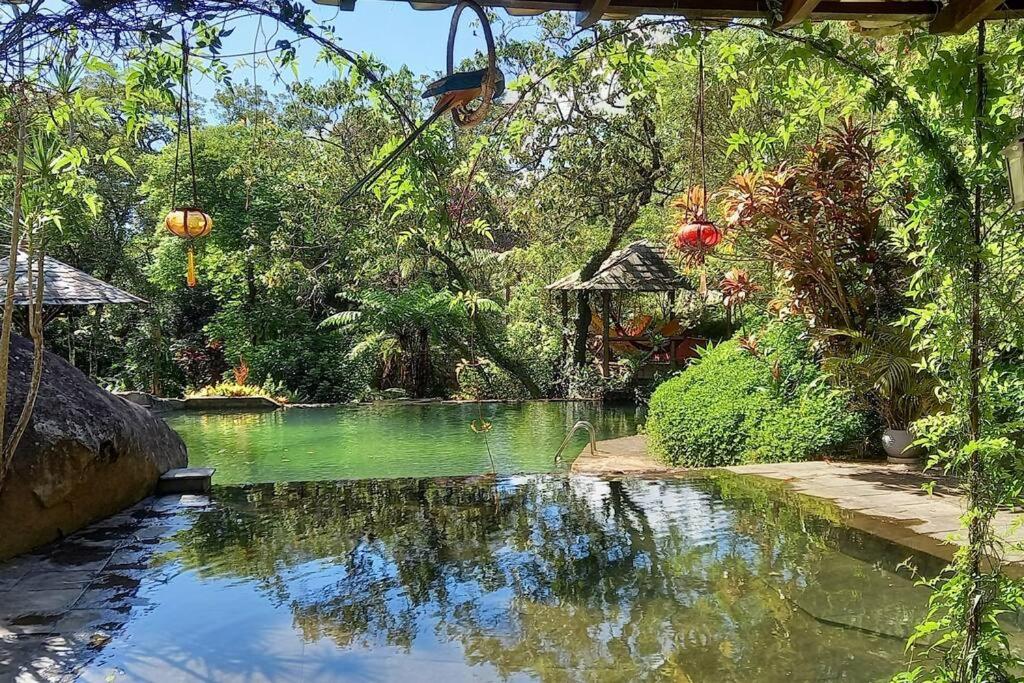 Tico-Tico das Araras, Petrópolis RJ