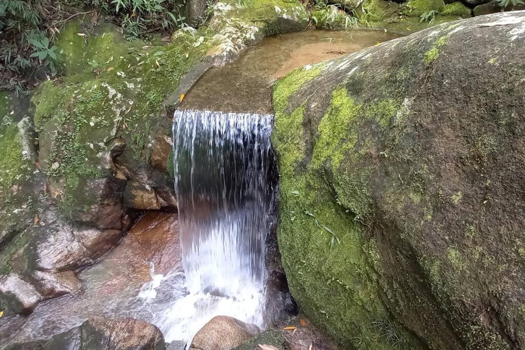 Tico-Tico das Araras, Petrópolis RJ