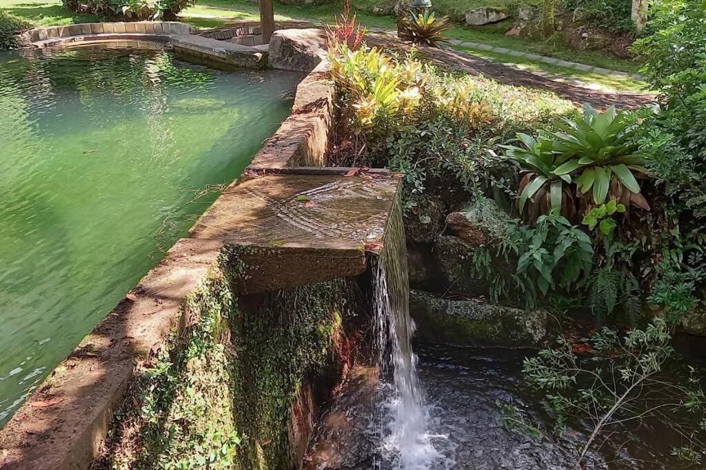 Tico-Tico das Araras, Petrópolis RJ