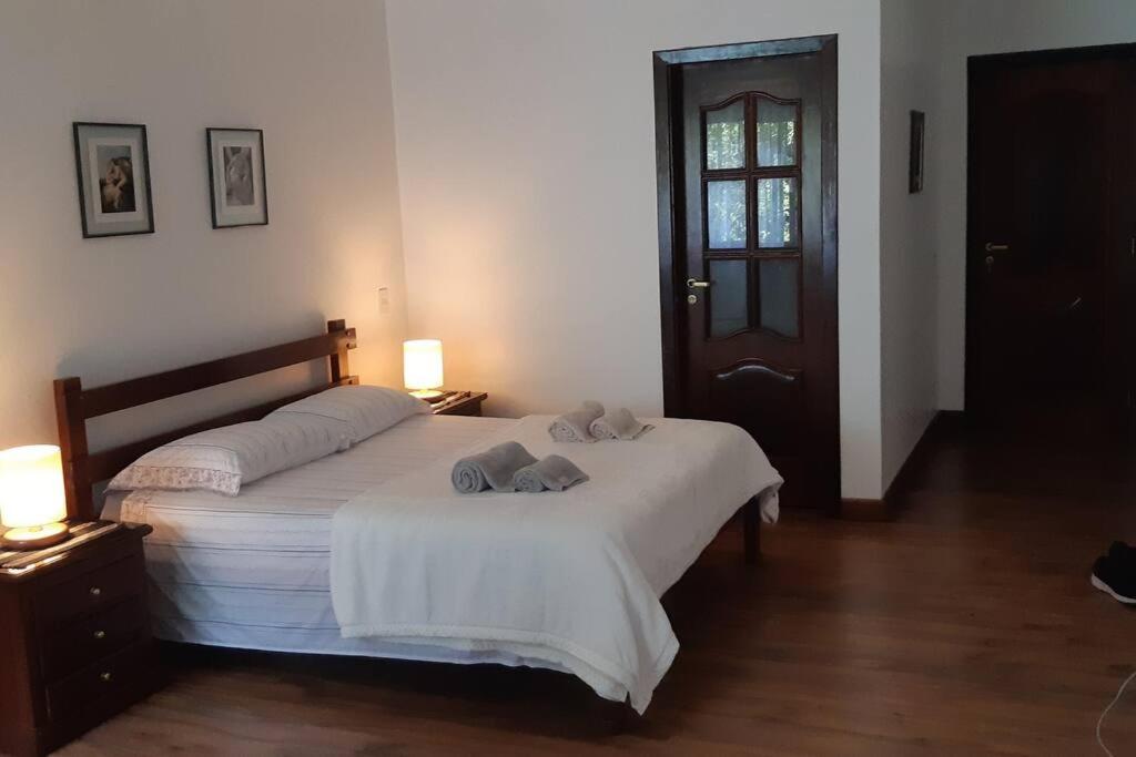 Tico-Tico das Araras, Petrópolis RJ