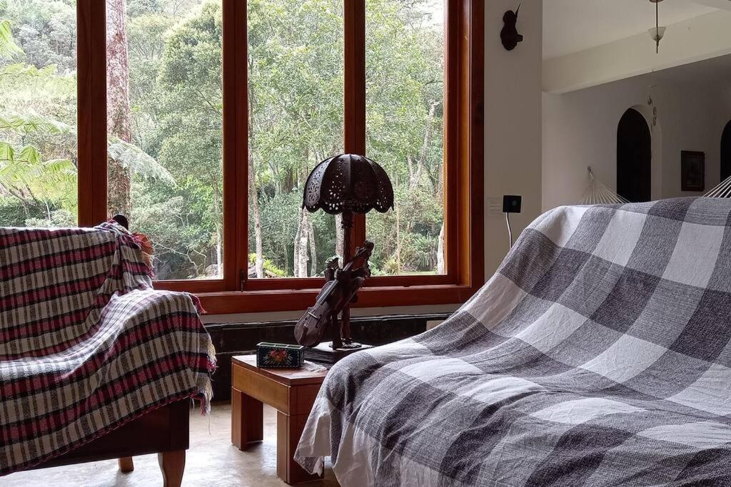 Tico-Tico das Araras, Petrópolis RJ