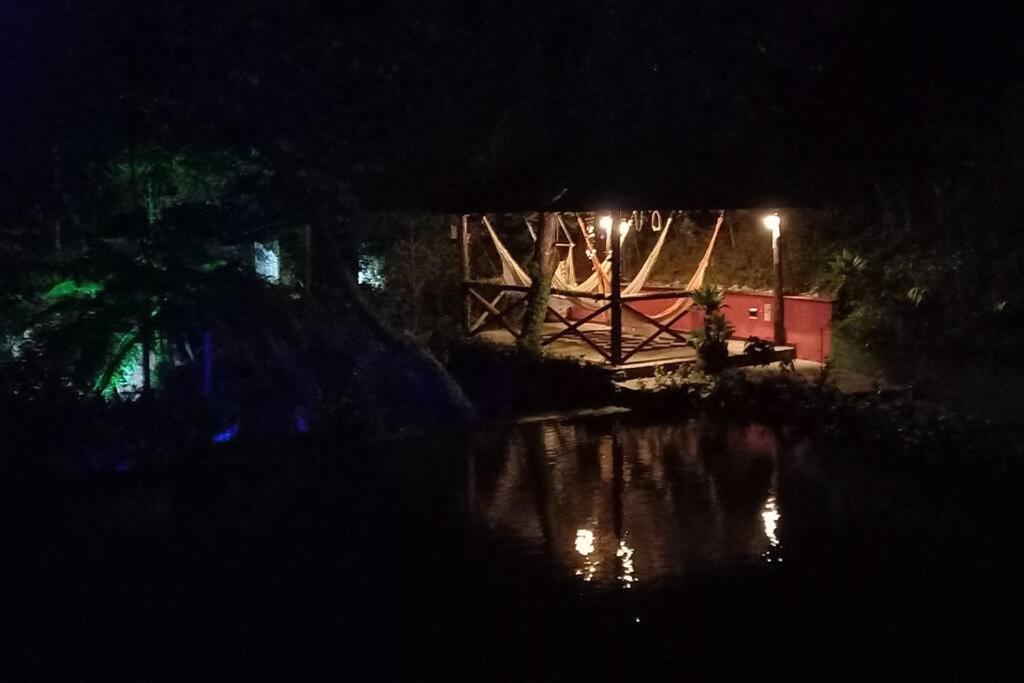 Tico-Tico das Araras, Petrópolis RJ