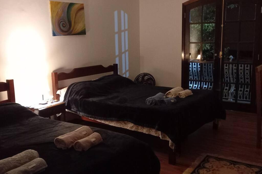 Tico-Tico das Araras, Petrópolis RJ