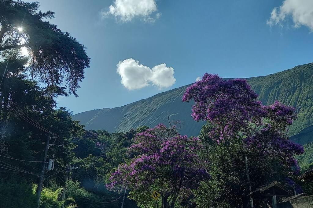 Tico-Tico das Araras, Petrópolis RJ