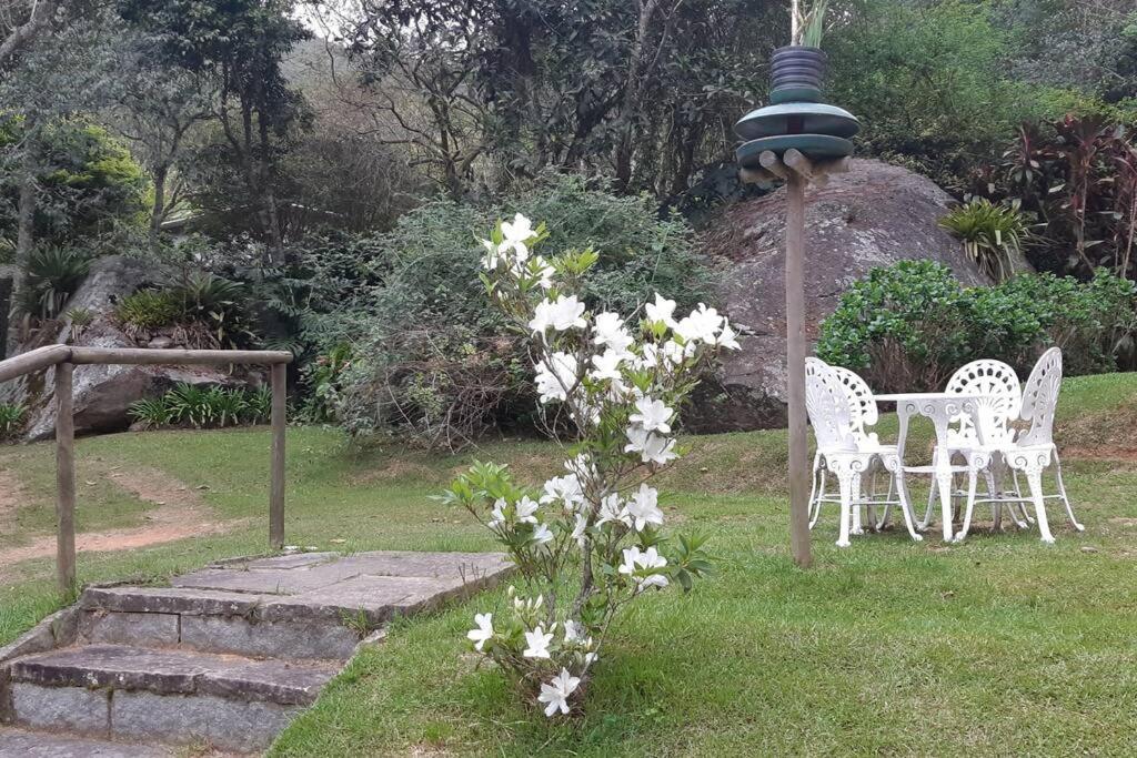 Tico-Tico das Araras, Petrópolis RJ