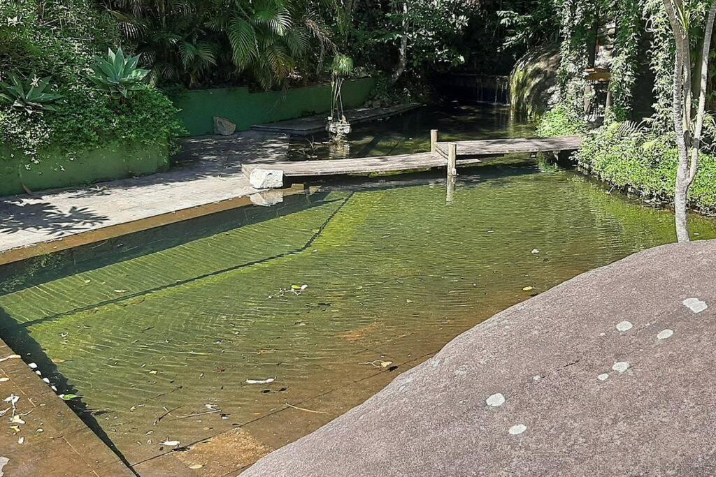 Tico-Tico das Araras, Petrópolis RJ