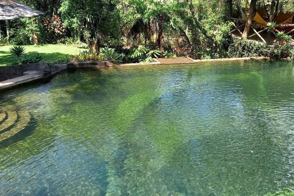 Tico-Tico das Araras, Petrópolis RJ