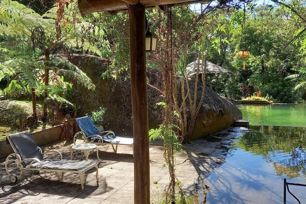 Tico-Tico das Araras, Petrópolis RJ