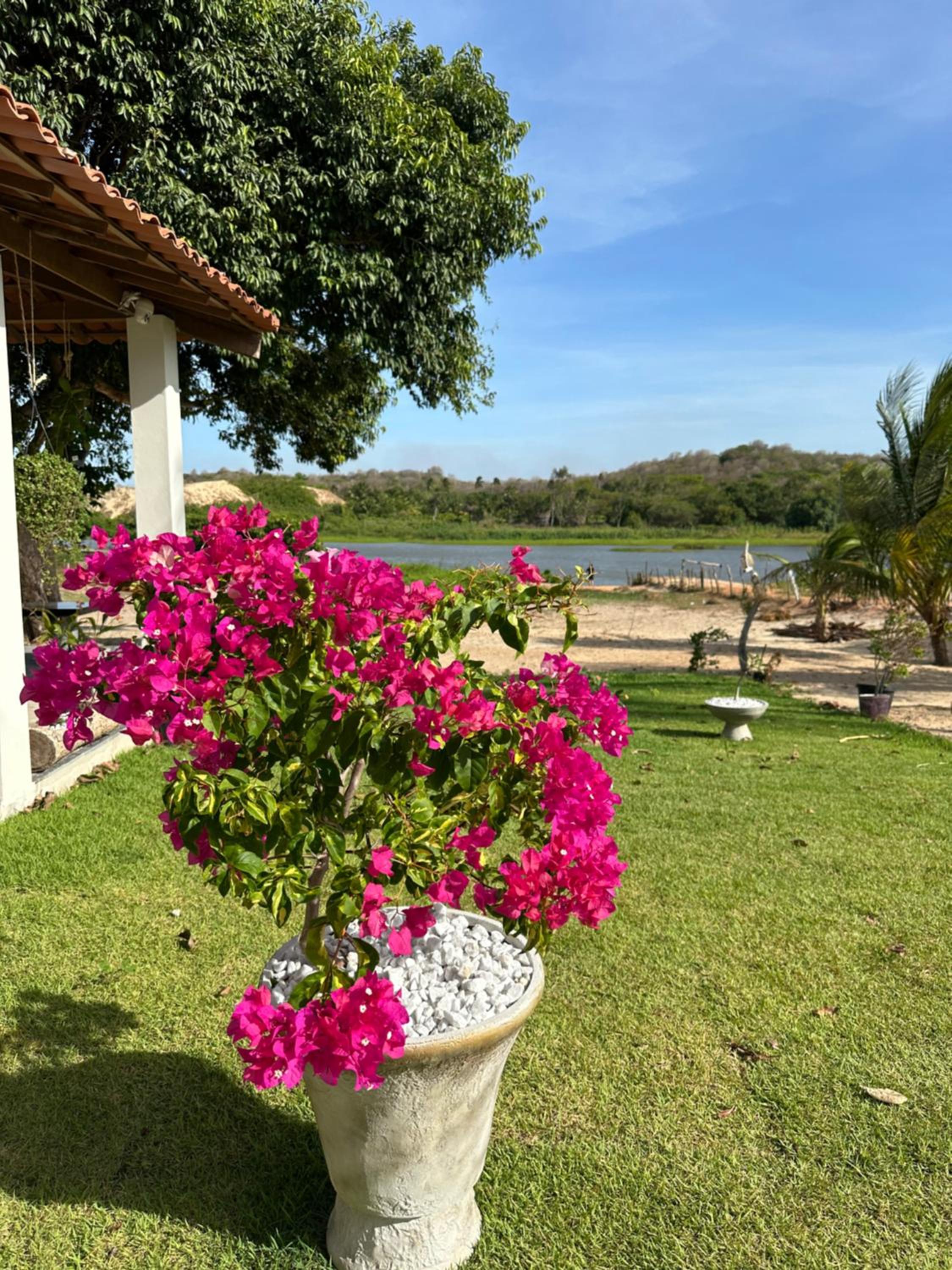 Casa Del Rio